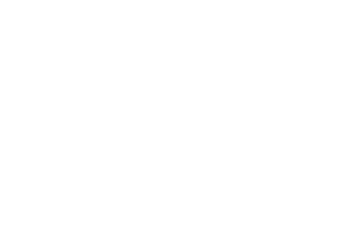 Global Freight Solutions